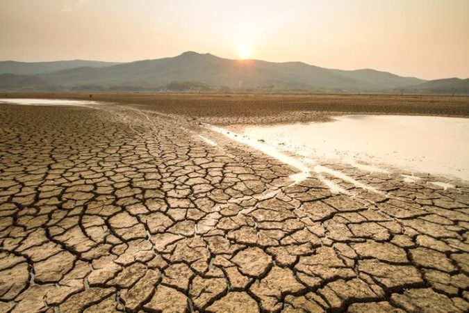 «بوشهر» تشنه‌لب در کنار دریا؛ لزوم اصلاح الگوی کشت و سازگاری با کم‌آبی