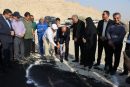 عملیات اجرایی راه دسترسی روستای بن‌بید دشتی آغاز شد